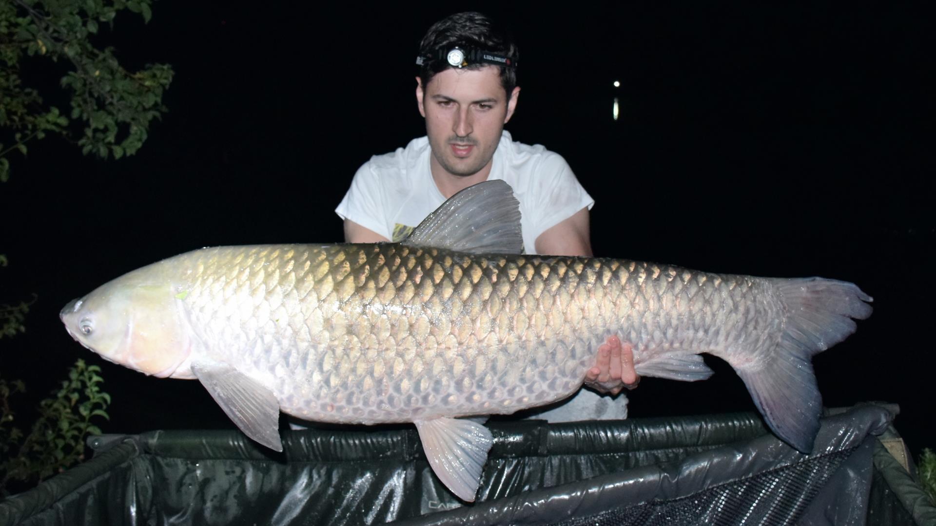 Tancabesti 13 - 15 aug. - 22 kg